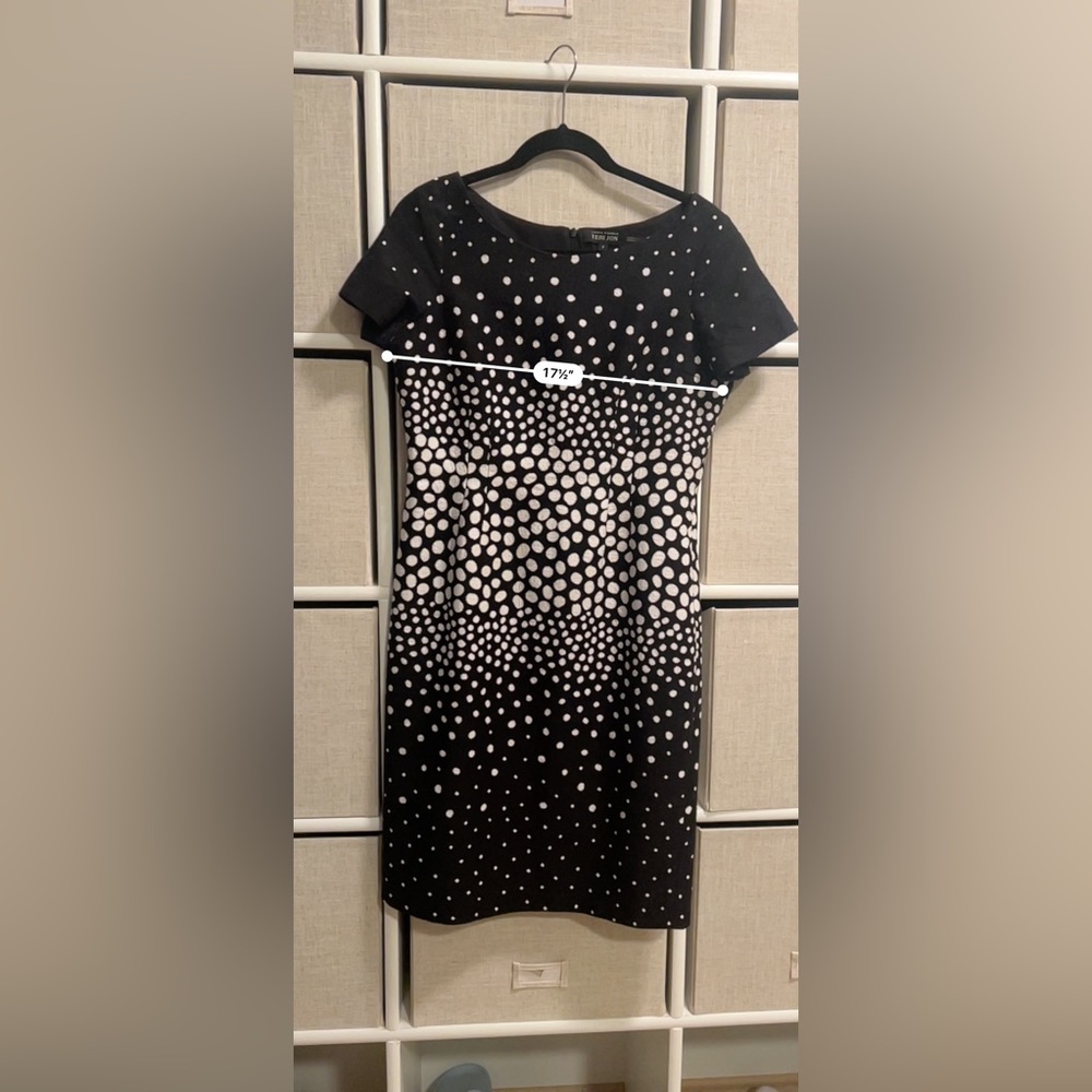 Terri Jon sheath dress